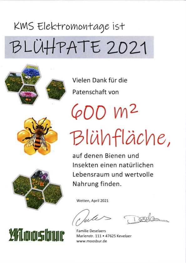 Bluehpate